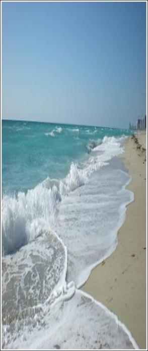 [1.1P-L-Miami] [2012.07.23] Beaches of Miami Beach