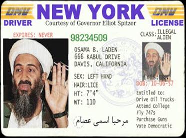 rightspeak.netillegal-drivers-license